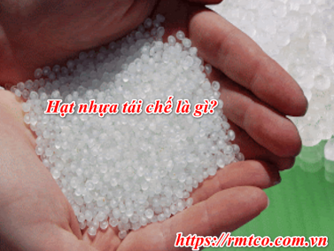 Hạt Nhựa Tái Chế Là gì? Ứng dụng nổi bật của nhựa tái chế