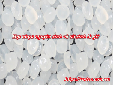 Hạt Nhựa Nguyên Sinh và Tái Sinh là gì? 5 Ứng dụng nổi bật nhất 2020